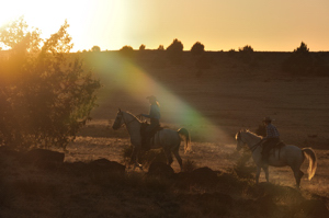 Shaft - horseback riders in silhouette