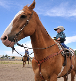 Bronc Embry, little boy on big horse at rodeo
