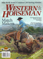 Arabian Wind - Hindi Arabian Horses - Western Horseman