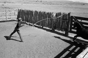 Archie West, Stephen G. Williams, Western Horseman, Last Stockman, Turquiose Trail