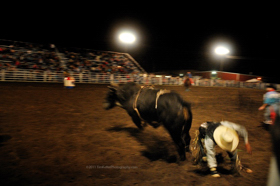 Guytin Tsosie - Raton Rodeo bullrider