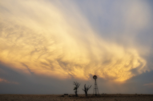 Remains of  Day, photo by Tim Keller