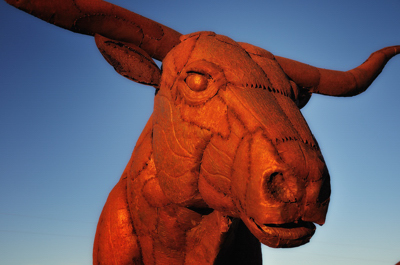Clayton longhorn bull in metal sculpture