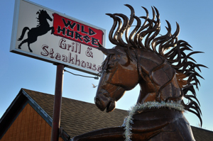 Wild Horse, Clayton NM