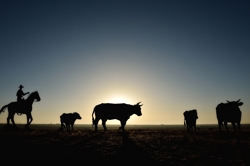 The Trail Ahead - Tim Keller Photography