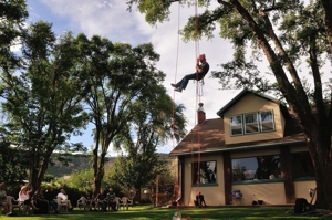 Nathan Green climbs a tree