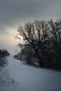 Raton northside snow