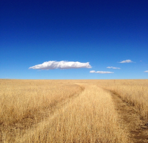 Bartlett Mesa hiking above Raton, New Mexico, by Tim Keller