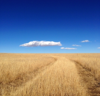 Bartlett Mesa, Road to the Cloud