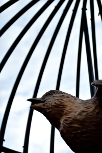 Bird in a Cage, Trinidad sculpture by Susan Norris