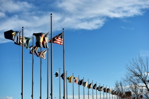 Flags in Trinidad, CO