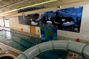 Raton Regional Aquatic Center's new mural by Melina Marlow