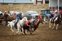 Carr Vincent and Austin Vincent, steer wrestling, 105th Trinidad Round-up Rodeo, Trinidad Colorado
