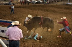 Bullrider Dakota Cator of Spearman, Texas, does down under the stomping feet of his bull. He's assisted by bullfighters Ty Pellam and Ely Sharkey.