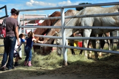 First Touch - child and horse