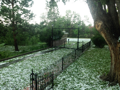 Hailstorm debris, Raton NM