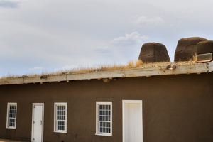 Growing rooftop with cactus and grasses, Fort Garland, Colorado