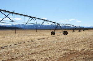 Center-pivot irrigation, Fort Garland, Colorado, San Luis Valley