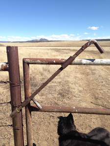 Gate latch, Moore Ranch southeast of Raton, NM