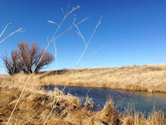 Stock pond on Alice Moore ranch southeast of Raton, NM