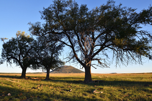 Capulin Volcano, by Tim Keller