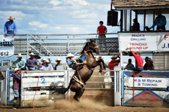 Shade Etbauer, saddle bronc event, Trinidad Round-up Rodeo 2015, by Tim Keller