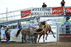Rowdy Chesser flies from his saddle bronc at Trinidad Round-up Rodeo 2016