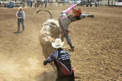 Ryan Duensing, bull rider, Trinidad Round-up Rodeo 2016