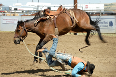 Taylor Tupper bites the dust at Trinidad Round-up Rodeo 2016