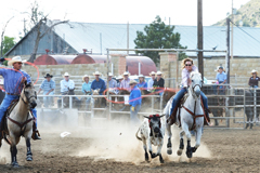 Team roping at Trinidad Round-up Rodeo 2016