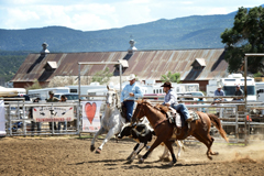 Carr Vincent and son Austin Vincent of Des Moines, New Mexico, competing in team roping at Trinidad Round-up Rodeo 2016