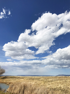 Hi Lo Country landscape at Eagle Tail near Raton, New Mexico