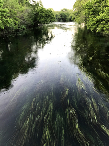 San Marcos River, Texas Hill Country