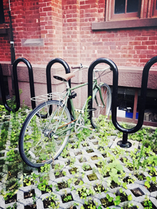Bicycle on a rack in Brooklyn
