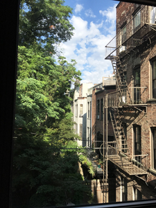 Brooklyn window view