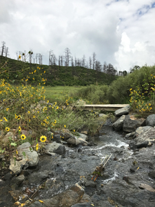 Sugarite Canyon State Park, Lake Maloya footbridge