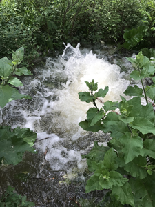 Broken Raton city water main in Sugarite Canyon