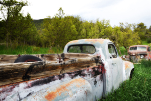 Studebaker pickup truck and Chevrolet out to pasture in Yankee Canyon