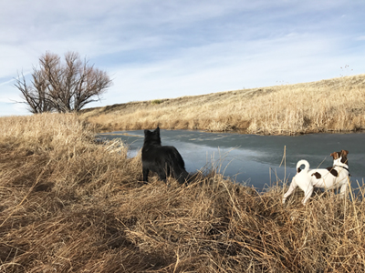 Northeastern New Mexico's Hi Lo Country, photo by Tim Keller