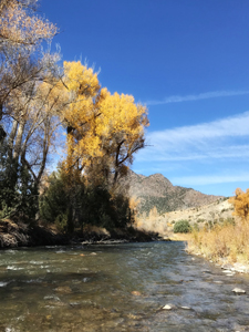 Cimarron River, Colorado, autumn