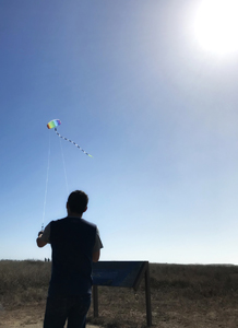 Kite flying at California coast's Fort Bragg, Glass Beach