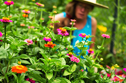 Christina Boyce in her garden, 2018