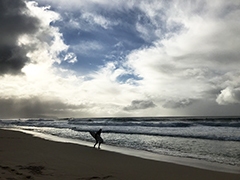 Banzai Pipeline beach at sunset