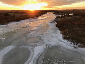 Frozen Arkansas River at Holcomb, Kansas, January 2018, by Tim Keller