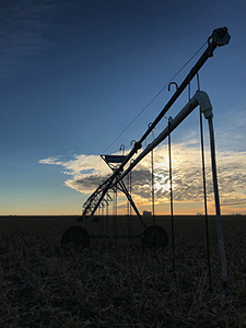 Irrigation silhouette, Kansas center-pivot irrigation