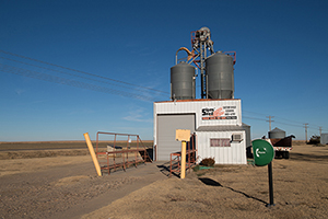 Sipes Seed, Manter Kansas, January 2018, by Tim Keller