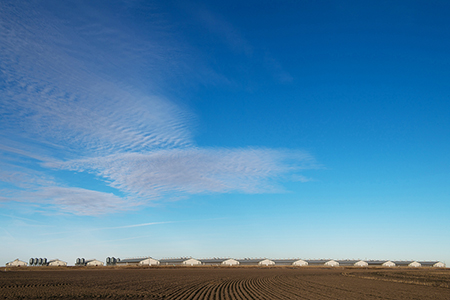 Huff & Puff Pork LLC, Kansas - panoramic landscape photo by Tim Keller