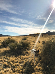 Sunbeams hits Raton ranch