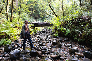 Christina Boyce on the creek in the redwoods, 2018