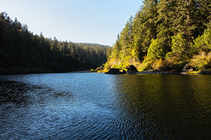 California's Smith River passes Stout Grove in Jedediah Smith State Redwoods
